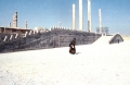 Torrey Persepolis2
