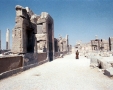 Torrey Persepolis3