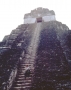 Torrey Tikal1